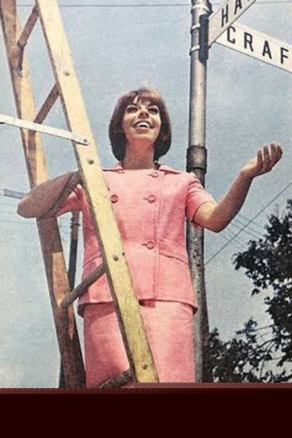 Judy Knaiz