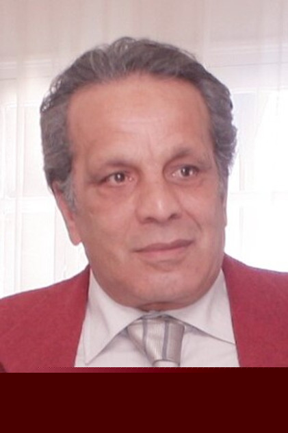 Lotfi Dziri