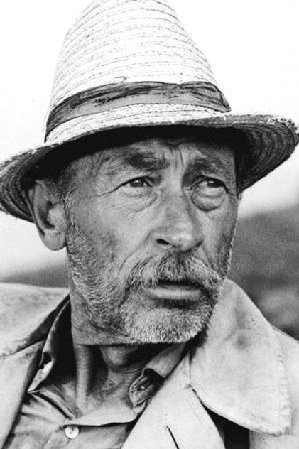 László Bánhidy
