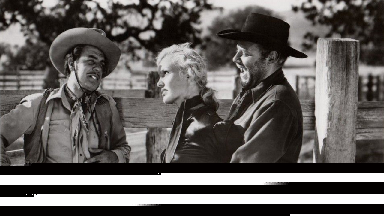 Border Outlaws
