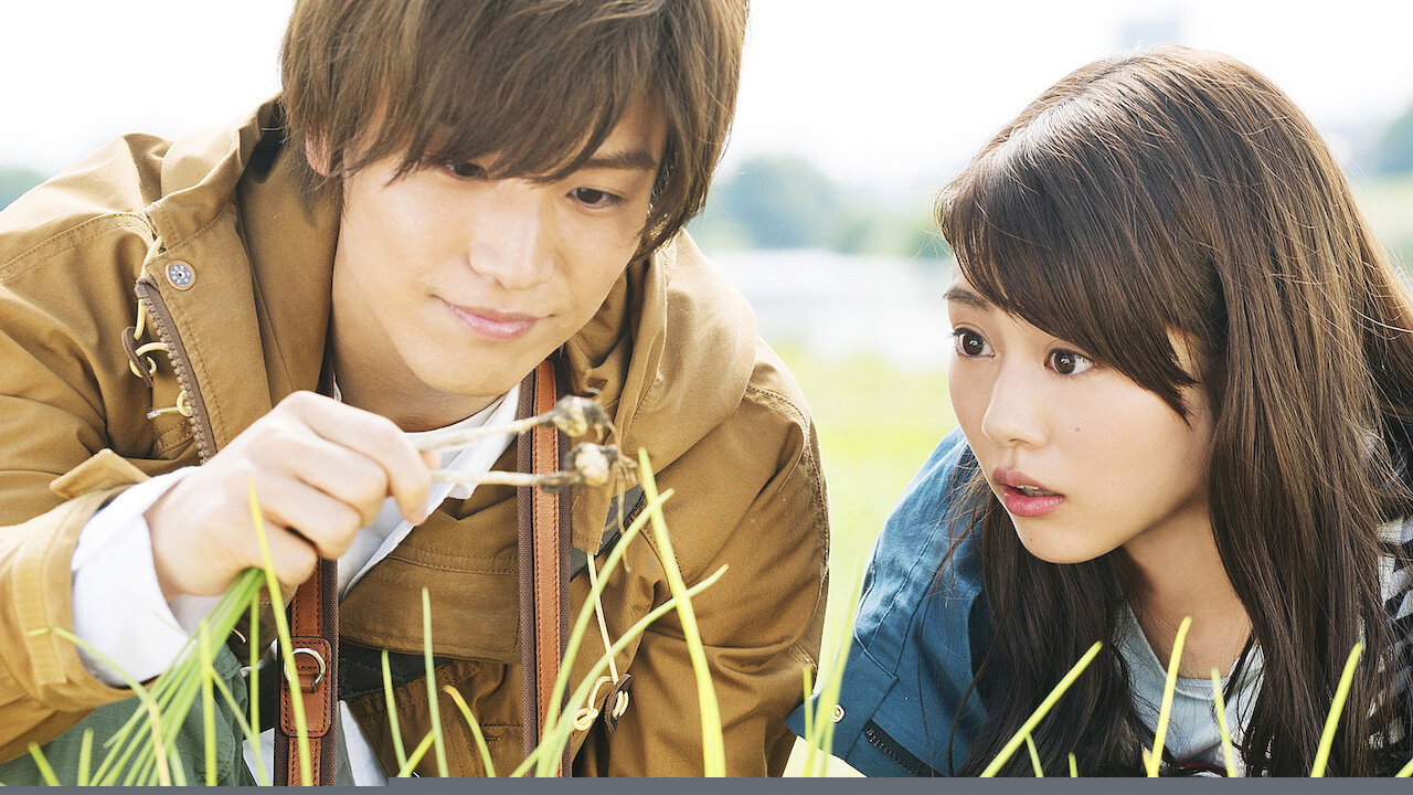 Evergreen Love