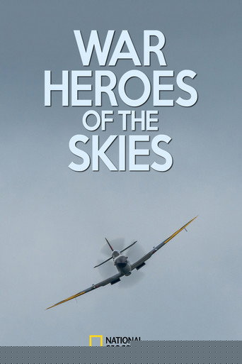 War Heroes of the Skies