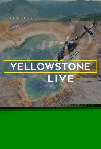 Yellowstone Live