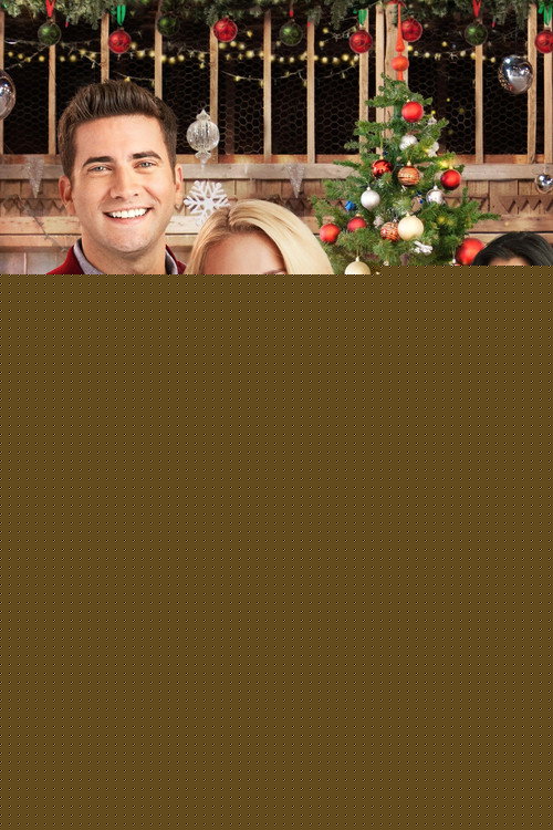 Christmas Wonderland