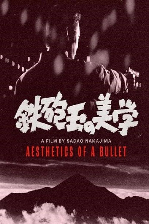Aesthetics of a Bullet