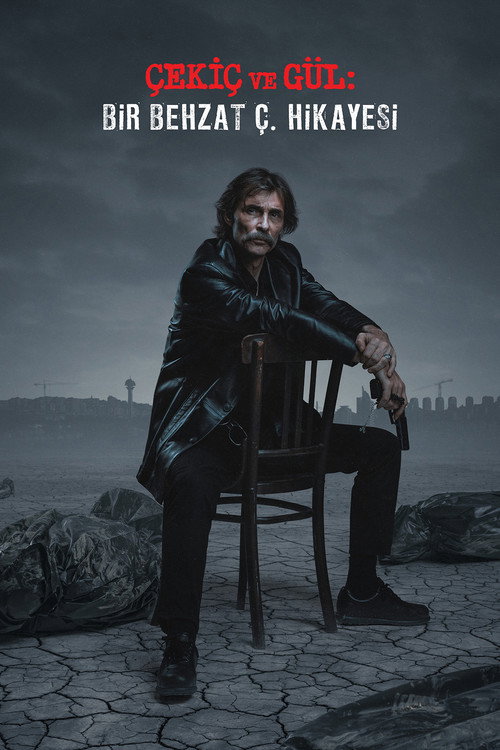 The Hammer and the Rose: A Behzat Ç. Story