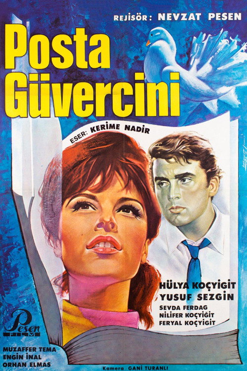 Posta Güvercini