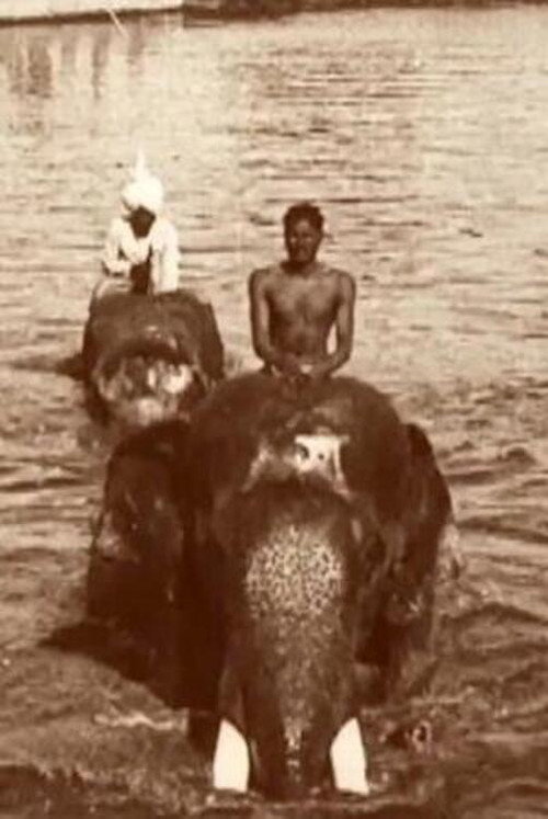 Edward Prince of Wales' Tour of India: Indore, Bhopal, Gwalior and Delhi