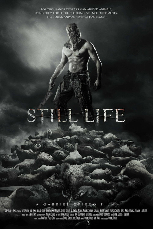 Still Life