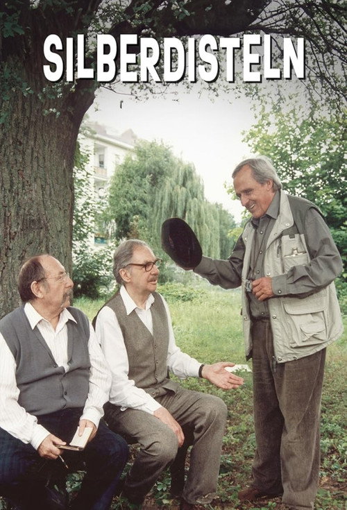 Silberdisteln