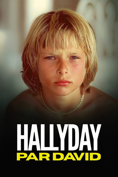 Hallyday par David