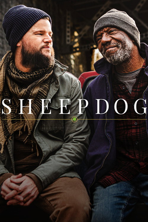 Sheepdog