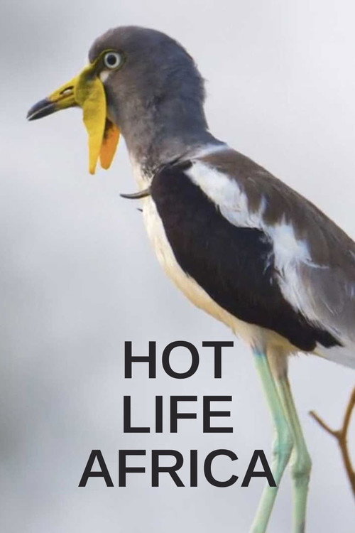 Hot Life Africa