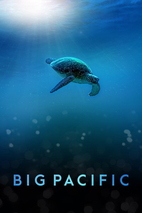 Big Pacific