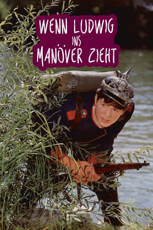 Wenn Ludwig ins Manöver zieht