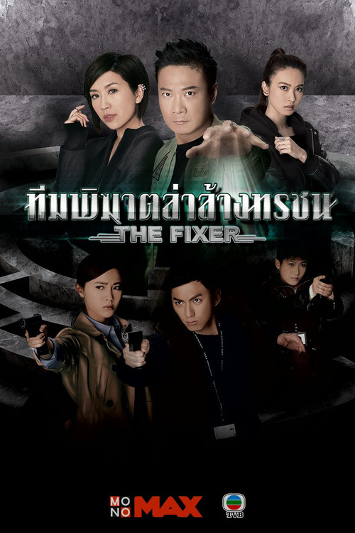 The Fixer