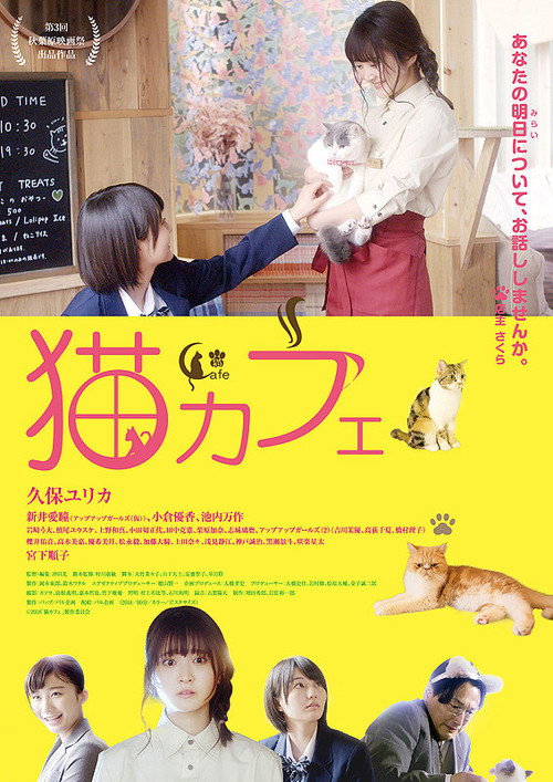 Cat Cafe