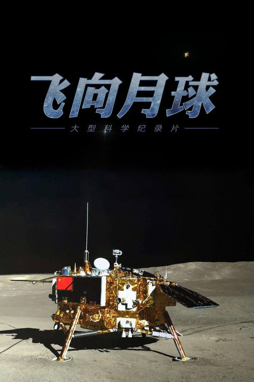 飞向月球