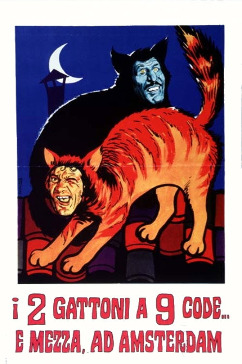 The Two Big Cats O'Nine Tails... and a Half in Amsterdam