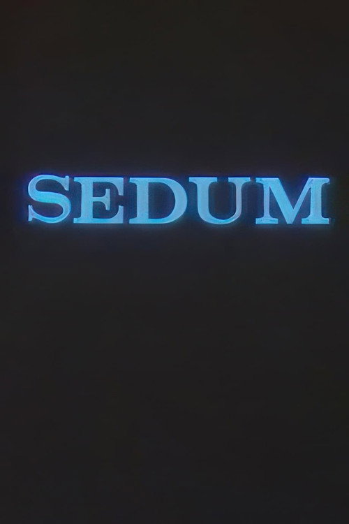The Seven
