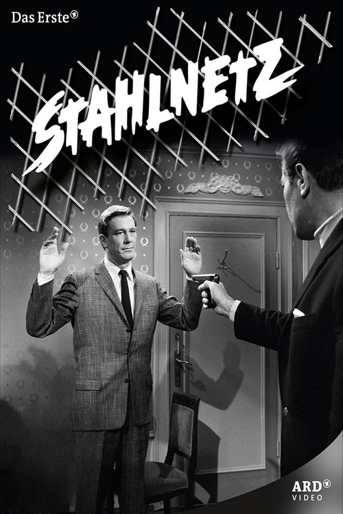 Stahlnetz