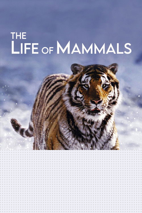 The Life of Mammals