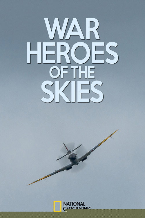 War Heroes of the Skies